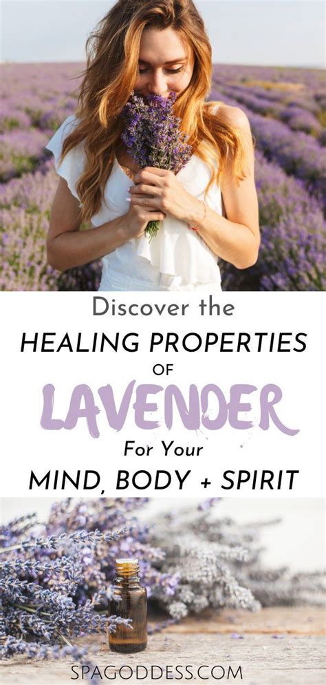 The Healing Properties Of Lavender For Your Mind Body Spirit In 2020