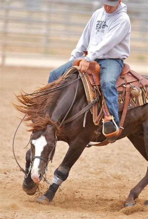 Reining Trainer Andrea Fappani I Would Loveeee To Ride For Them Or One