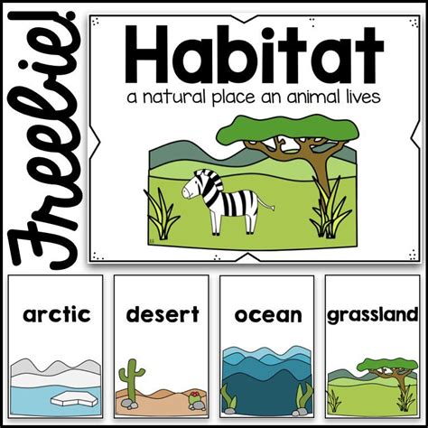 habitat poster card visuals httpswwwteacherspayteacherscom