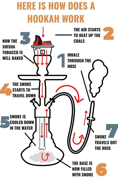 Here Is How Does A Hookah Work Infographic Included