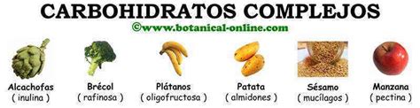 Clases De Hidratos De Carbono Complejos Botanical Online