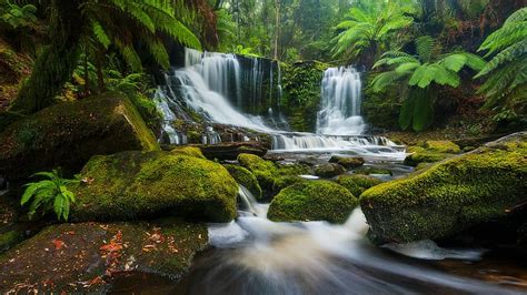 Waterfalls Waterfall Fern Forest Moss Tropical Jungle Hd