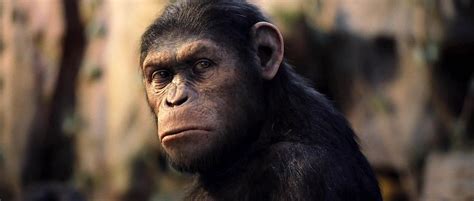 How Rise Of The Planet Of The Apes Set The Trilogy Up For Success