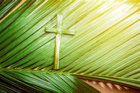 Download Palm Sunday Pictures