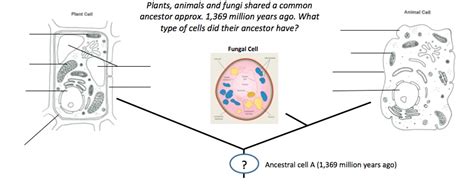 Maybe you would like to learn more about one of these? Cells teaching resources - the science teacher