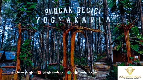 Puncak Becici Jogja Pesona Wisata Hutan Pinus Sewa Mobil Jogja Dan