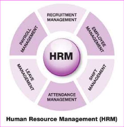 Structure Of Human Resources Management Hrm Download Scientific Diagram