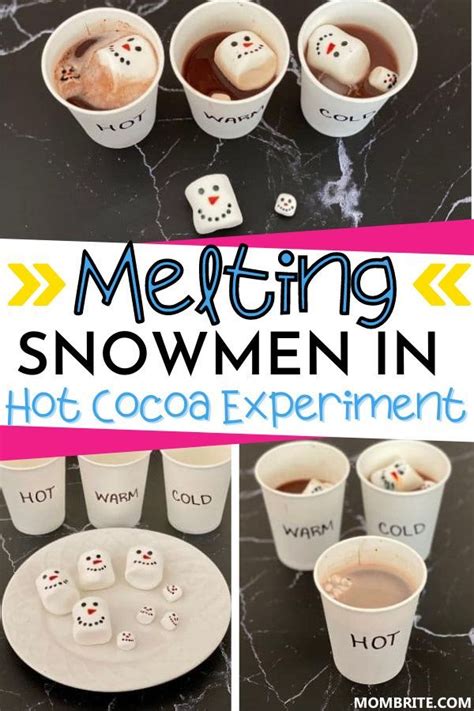 Hot Cocoa And Marshmallows Melting Snowmen Experiment Preschool