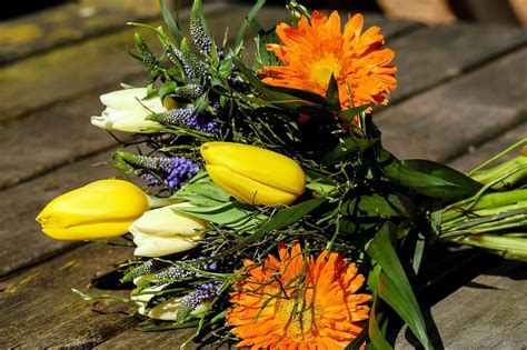 Frühlingsblumen Blumenstrauß Kostenloses Foto Auf Pixabay Pixabay