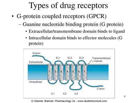 Types Of Drug Receptors