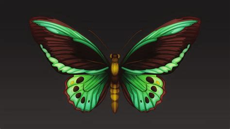 Download Wallpaper 3840x2160 Butterfly Patterns Wings