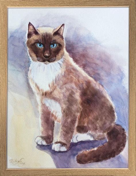 Siamese Cat Original Watercolour Painting Framed Watercolor Etsy