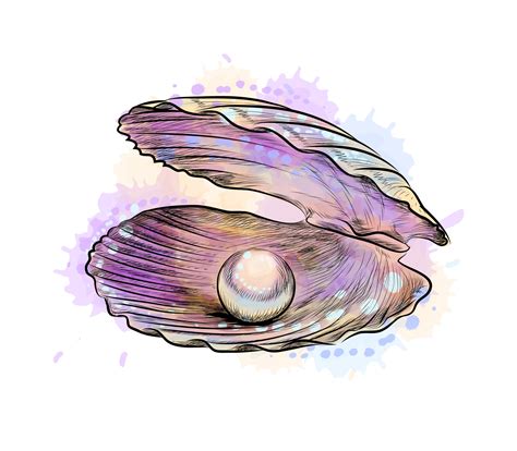 Opened Shell With Pearl Inside From A Splash Of Watercolor Hand Drawn
