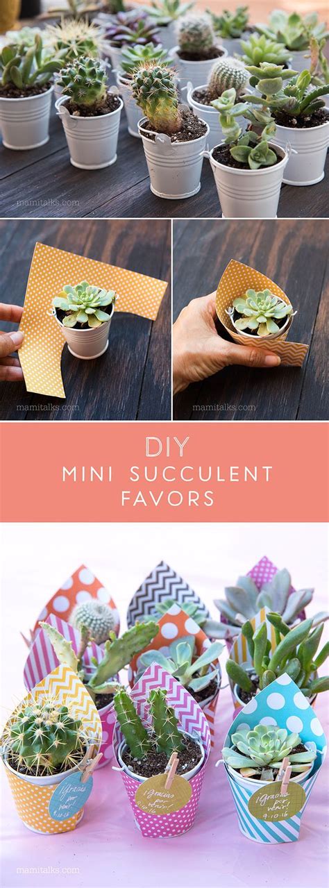 DIY Mini Succulent Favors For A Baby Shower 2019 Paper Ideas