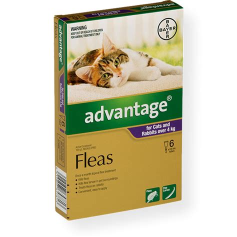 Advantage Spot On Large Cat Flea Treatment 4 10kg Pet Connect Nz