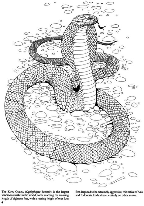 Check out our snake coloring pages selection for the very best in unique or custom, handmade pieces from corn snake, coloring page, instant download print, animal coloring pages. Welcome to Dover Publications | Snake coloring pages ...