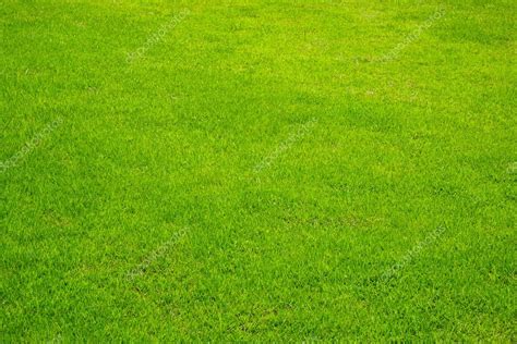 Green Grass Background Perspective Texture — Stock Photo © Thaiprayboy