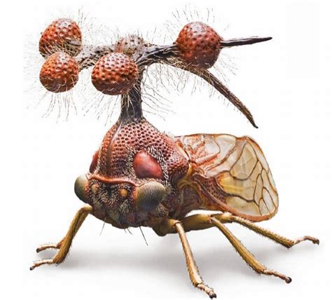 Strange And Funky Animal Sculptor Alfred Keller Weird Insects Bugs