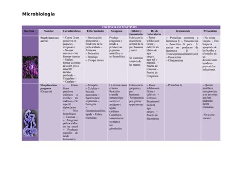 Cuadro Comparativo Entre Bacterias Virus Y Hongos Las Bacterias Hongo