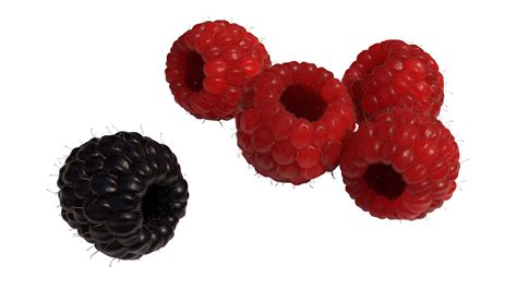 Frutti Di Bosco Black Raspberry Blackberry Fruit Black 296743
