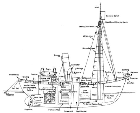 Whaling Ship Diagram