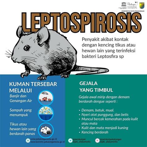 Apa Itu Leptospirosis Kenali Penyebab Dan Pencegahannya
