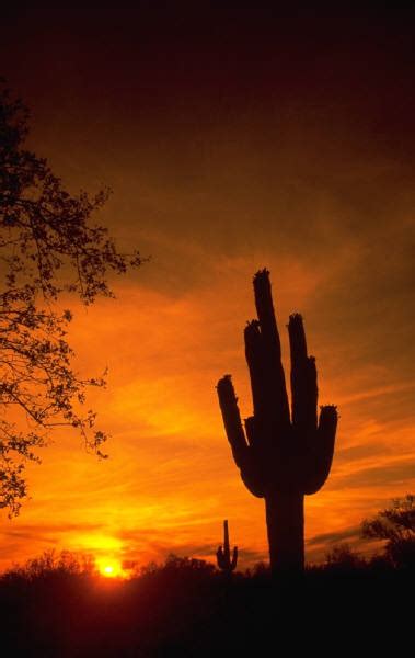 Why Phoenix Is A Fabulous Place To Live – PM Press