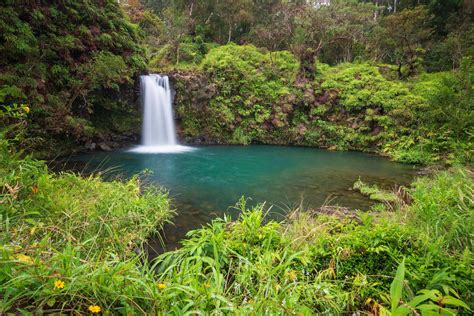 Top 12 Best Waterfalls On Maui You Should Visit Hawaii Travel With Kids