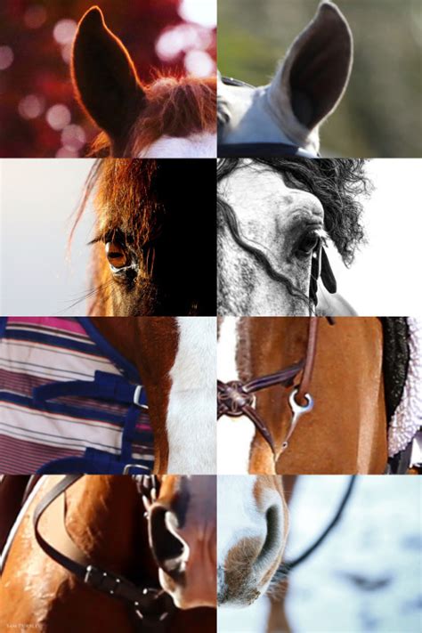 Check out more of the dude's work on tumblr! riding wild horses | Tumblr