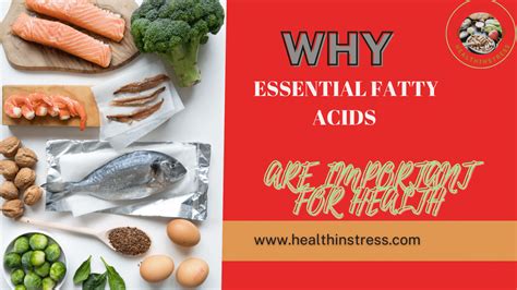 Why Essential Fatty Acids Are Important For Health Natural Remedies