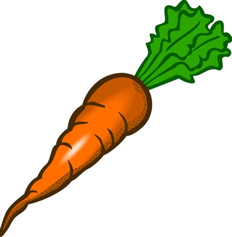 Морковь Овощ Еда Бесплатная векторная графика на Pixabay