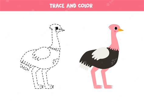 Premium Vector Trace And Color Cartoon Ostrich Worksheet For Children