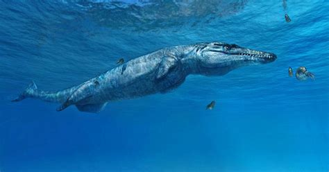 A New Prehistoric Sea Monster Has Been Discovered Huffpost Uk Tech