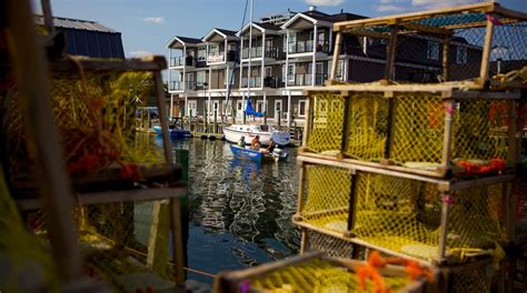 Visit Fishermans Cove In Eastern Passage Expedia