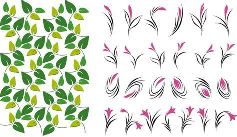 Leaves And Flowers Collection Vector Illustration Vectors Graphic Art