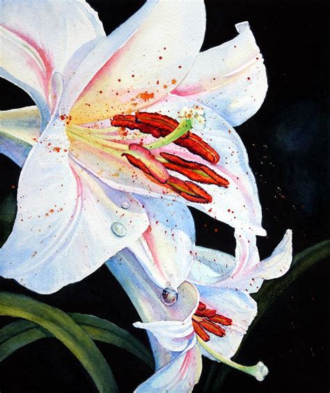 Paintings Of Lilies Google Search Lily Painting Floral Painting