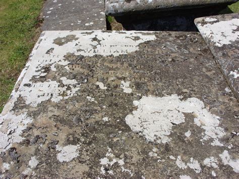 Jesse robertson (@jesserobertson12) adlı kullanıcının en son videosunu izleyin. Bower Cemetery, Caithness