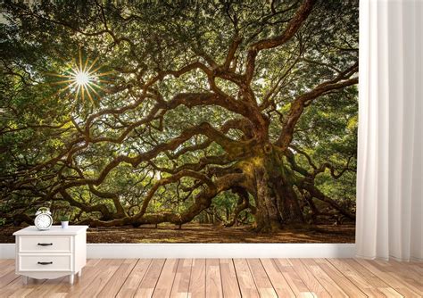 Old Oak Tree Vinyl Wallpaper Forest Wall Mural Forest Etsy Forest