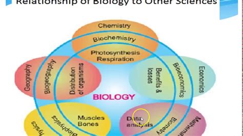 9th Bio Ch1 Introduction To Biology Lecture 2 Relationship Of Biology