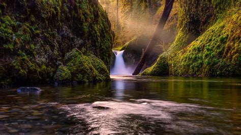 Wallpaper Waterfall In Forest Creek Green Moss Trees Sun Rays