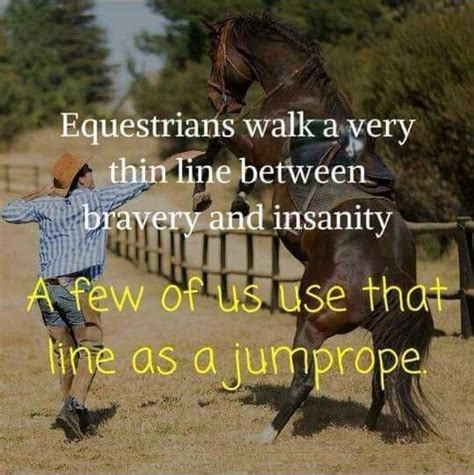 Horse Quotes Funny By Audrey On Equestrian Quotes In 2020