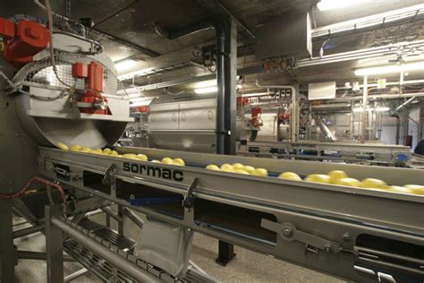 Machine à éplucher De Pommes De Terre Ms Sormac Bv