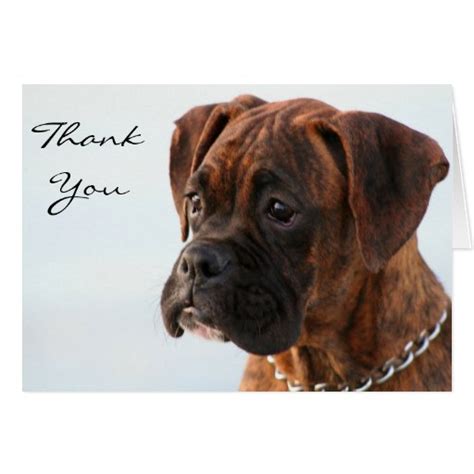Thank You Brindle Boxer Puppy Greeting Card Zazzle