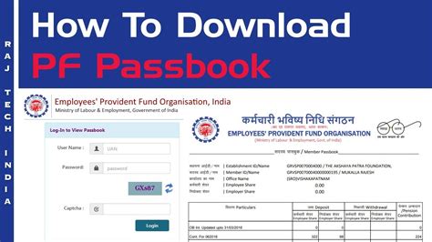 Pf Balance Check India How To Download Pf Passbook Youtube