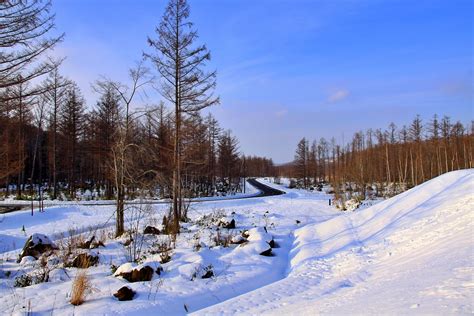 Free Images Hokkaido Japan Snow Winter Tree Nature Sky Natural