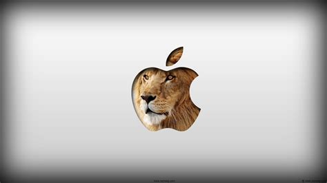30张优秀的mac Os X Lion桌面壁纸 创意悠悠花园