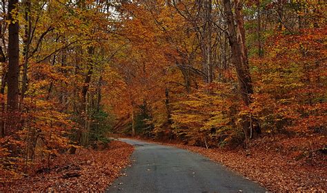 Take This Two Hour Drive To See The Best Fall Foliage In