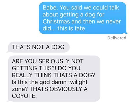 Woman Tells Husband Shes Keeping A Wild Coyote As