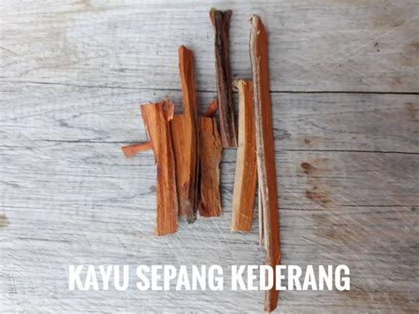 Phyllanthus niruii linn nama lain : Mandian Dukung Anak Ikhtiar Rawat Bayi Demam Kuning, Boleh ...