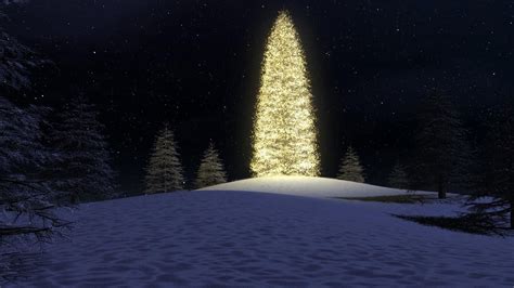 2560x1440 Resolution Christmas Tree Garlands Forest 1440p Resolution